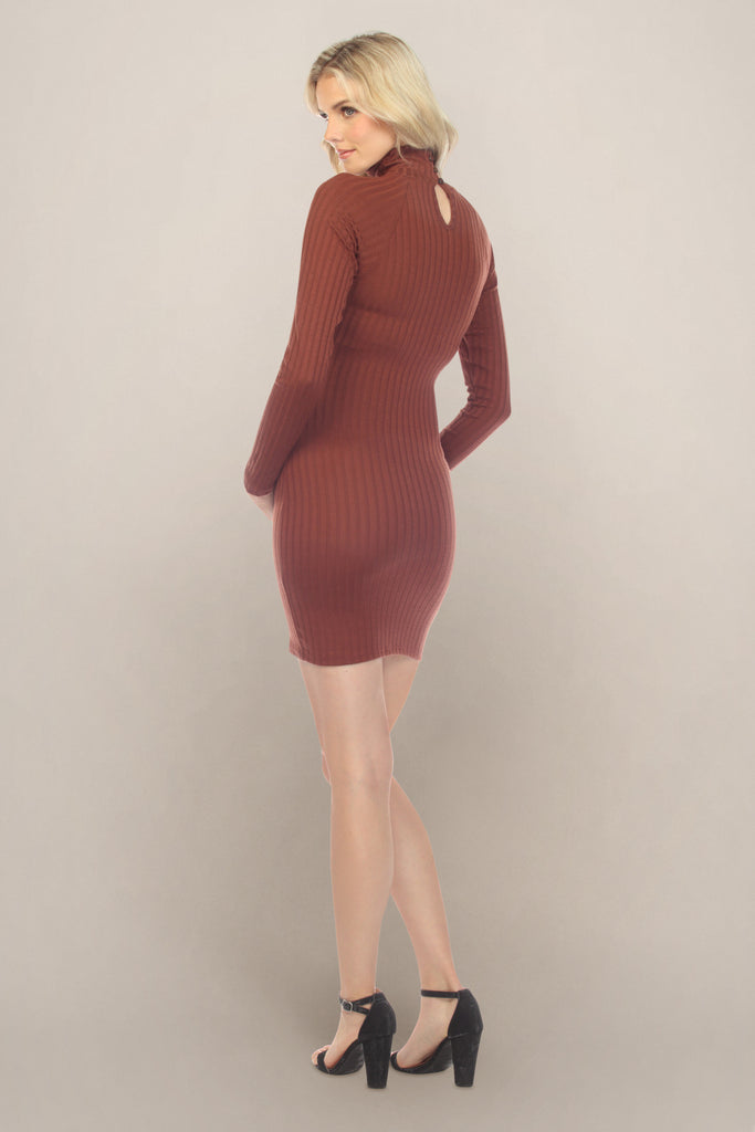 Red Brown Maternity Dress Back View